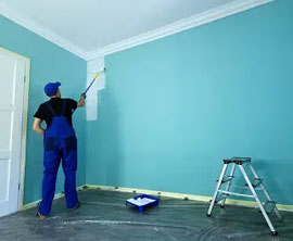 Panna Painting & Decorating